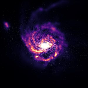 Image3